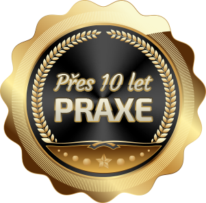 Přes 10 let praxe